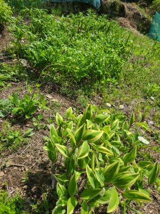 이미영님의 자유주제 · 사진전 작성글 사진