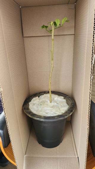 정미리님의 자유주제 · 자유게시판 작성글 사진