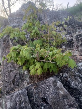 무료지식나눔 팜닥터님의 자유주제 · 자유게시판 작성글 사진