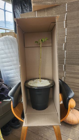 정미리님의 자유주제 · 자유게시판 작성글 사진