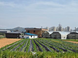 김동현님의 감자·자유게시판 작성글 사진