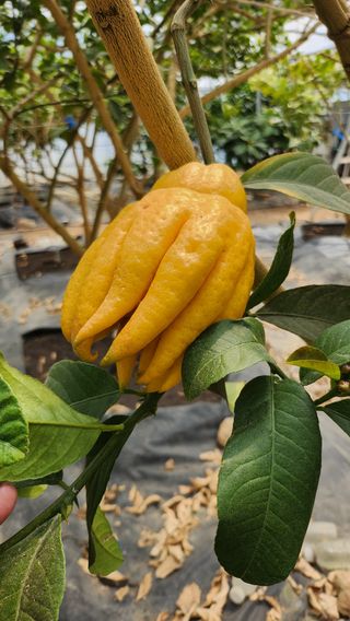 정미리님의 자유주제 · 자유게시판 작성글 사진