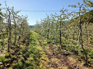 알 수 없음님의 자유주제 · 자유게시판 작성글 사진