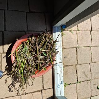 오영도님의 자유주제 · 자유게시판 작성글 사진