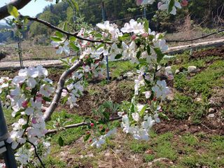 알 수 없음님의 자유주제 · 자유게시판 작성글 사진