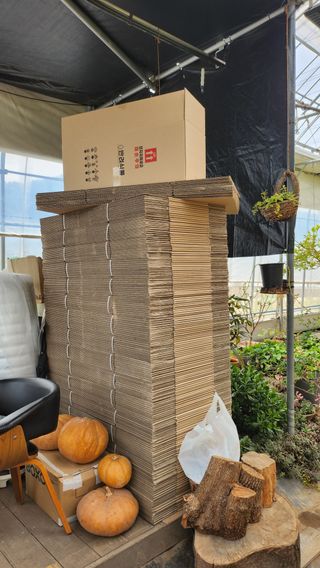 정미리님의 자유주제 · 자유게시판 작성글 사진