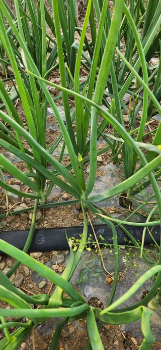 조태현님의 자유주제 · 자유게시판 작성글 사진