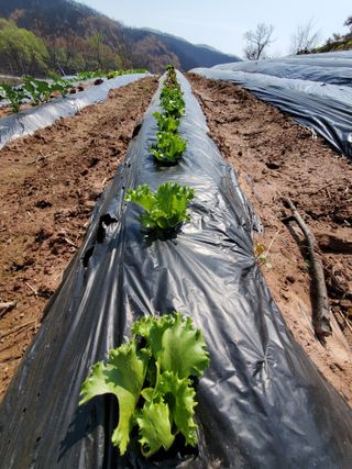 정연섭님의 자유주제 · 자유게시판 작성글 사진