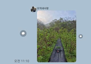 이용해님의 🌱내 작물 자랑하기! · 참여글 작성글 사진