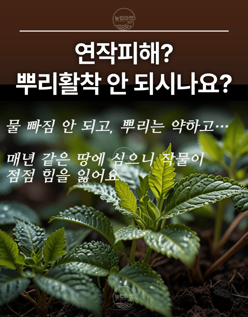 농업마켓365님의 장터 판매 상품 [농업마켓365 대유 쏘일닥터 5kg 3포, 6포 입제 유기농업자재 친환경자재 토양개량 및 작물생육용] 첨부 사진