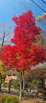 팜모닝 자유주제·자유게시판 게시글 이미지