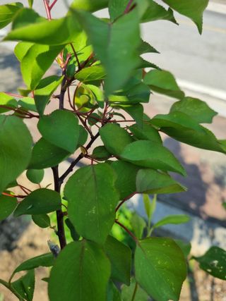 김용대님의 자유주제 · 자유게시판 작성글 사진