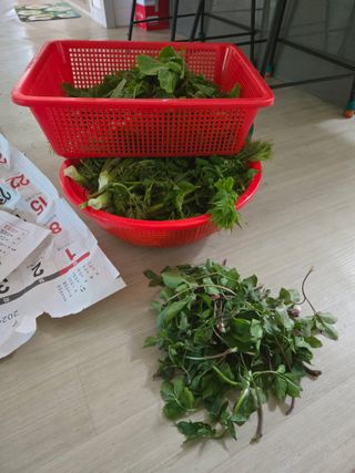 농지임대법님의 자유주제 · 사진전 작성글 사진