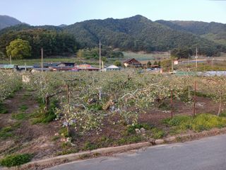 알 수 없음님의 자유주제 · 자유게시판 작성글 사진