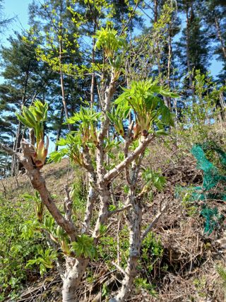 인생은 소풍처럼님의 자유주제 · 자유게시판 작성글 사진