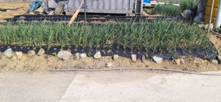 김영문님의 자유주제 · 자유게시판 작성글 사진