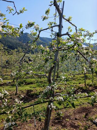 알 수 없음님의 자유주제 · 자유게시판 작성글 사진