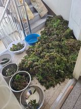 팜모닝 자유주제·자유게시판 게시글 이미지