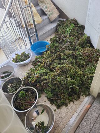 자연같이님의 자유주제 · 자유게시판 작성글 사진