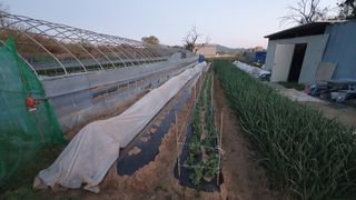 이서구님의 자유주제 · 자유게시판 작성글 사진