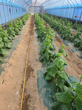 최종진님의 자유주제 · 자유게시판 작성글 사진