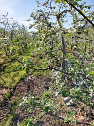알 수 없음님의 자유주제 · 자유게시판 작성글 사진