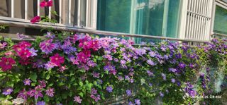 다야님의 자유주제 · 자유게시판 작성글 사진