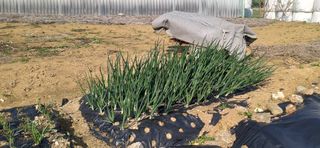 김영문님의 자유주제 · 자유게시판 작성글 사진