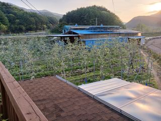 알 수 없음님의 자유주제 · 자유게시판 작성글 사진