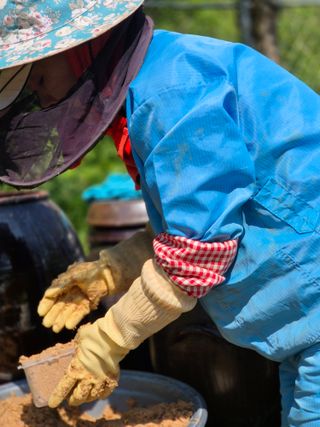 봉림동 태진농장님의 자유주제 · 자유게시판 작성글 사진