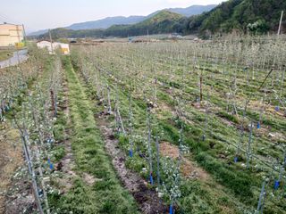 알 수 없음님의 자유주제 · 자유게시판 작성글 사진