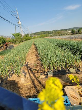 장효기님의 자유주제 · 자유게시판 작성글 사진