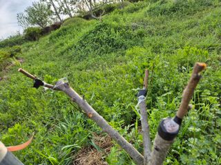 천운산님의 자유주제 · 자유게시판 작성글 사진