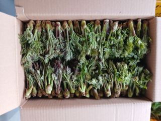 인생은 소풍처럼님의 자유주제 · 자유게시판 작성글 사진