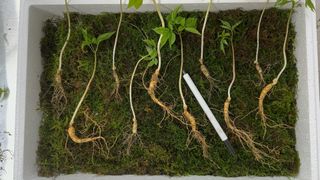 진상빈님의 작성글 사진