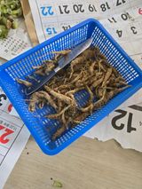 팜모닝 자유주제·사진전 게시글 이미지