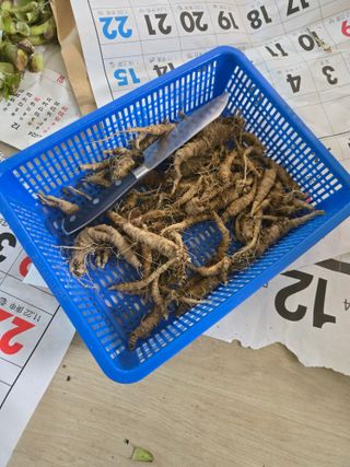 농지임대법님의 자유주제 · 사진전 작성글 사진