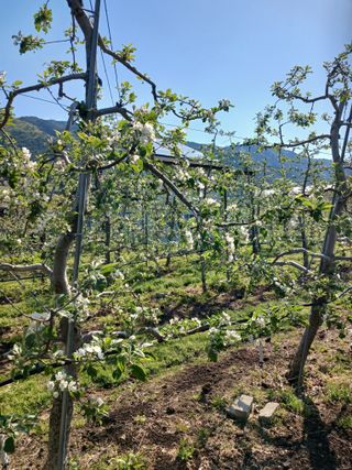 알 수 없음님의 자유주제 · 자유게시판 작성글 사진