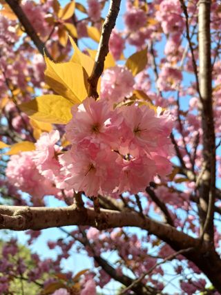 인천주말농부님의 자유주제 · 자유게시판 작성글 사진