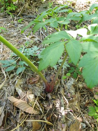 황강순님의 자유주제 · 자유게시판 작성글 사진