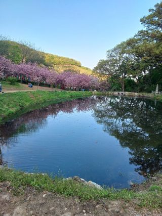 인천주말농부님의 자유주제 · 자유게시판 작성글 사진