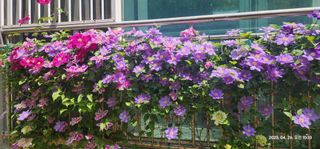 다야님의 자유주제 · 자유게시판 작성글 사진