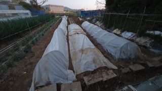 이서구님의 자유주제 · 자유게시판 작성글 사진