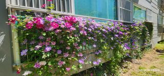 다야님의 자유주제 · 자유게시판 작성글 사진