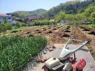 땅땅님의 자유주제 · 자유게시판 작성글 사진