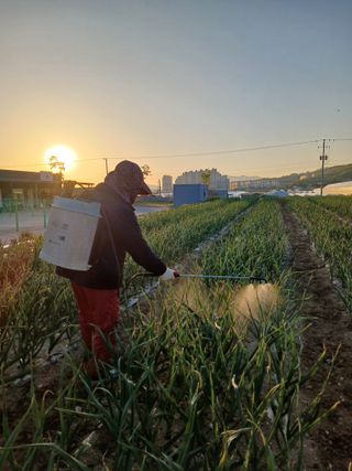 이영자 님의 자유주제 · 자유게시판 작성글 사진