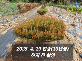 박성민님의 자유주제 · 자유게시판 작성글 사진