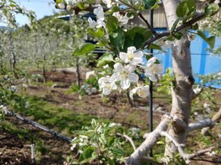 알 수 없음님의 자유주제 · 자유게시판 작성글 사진