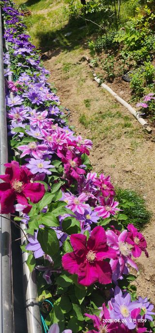 다야님의 자유주제 · 자유게시판 작성글 사진