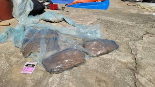 권리를위한투쟁님의 자유주제 · 자유게시판 작성글 사진